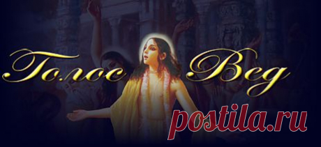 ГОЛОС ВЕД- Все лекции по автору. Торсунов, Тушкин, Нарушевич, Серебрÿков, Мередов, Рузов, Тугутов, Таргакова, Елена Орехова. Скачать ведические лекции, мантры, аудио-книги по автору в мп3 / mp3 формате.