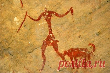 Собаки путешествовали с людьми уже в неолите | История