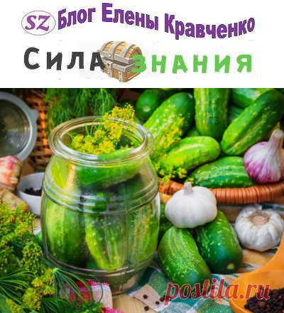 Огурцы на зиму в 1.5 литровых банках (хрустящие и вкусные рецепты)