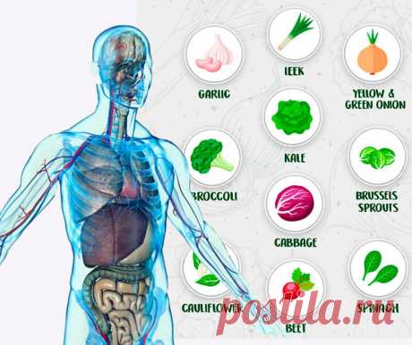 10 супер продуктов, которые помогут уморить раковые клетки