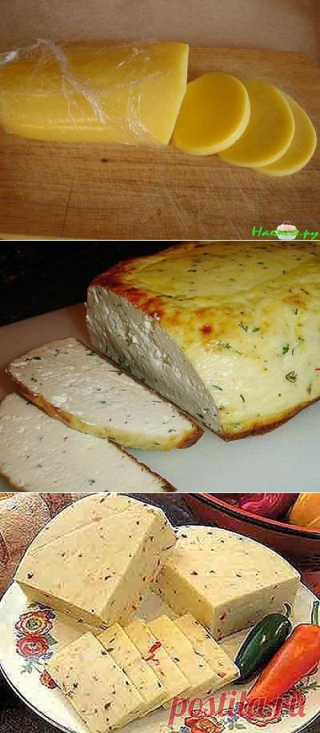 домашний сыр