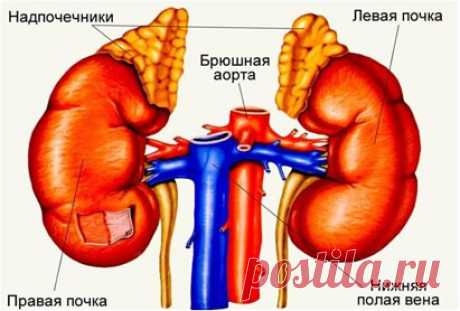 Одноклассники