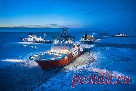 Типы морских судов. Что возят морские суда и чем они отличаются. | Андрей Ковалев | Яндекс Дзен