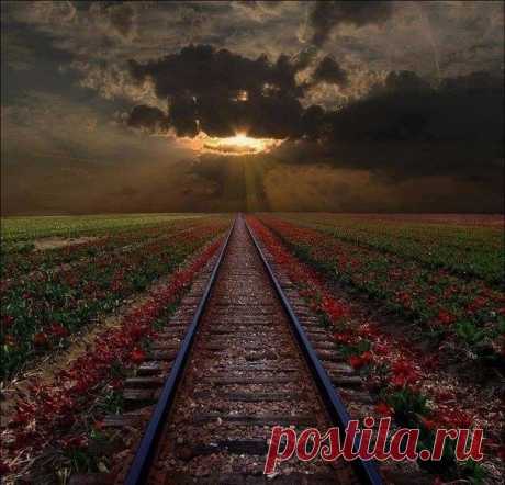 (98) Facebook