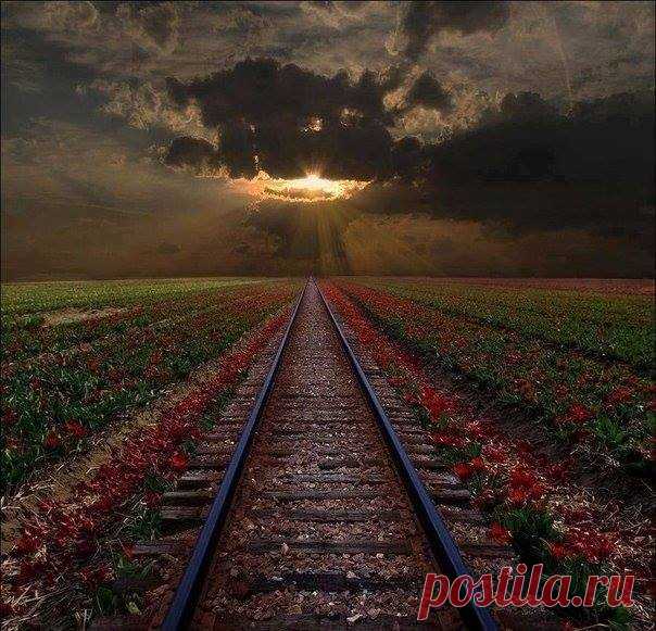 (98) Facebook