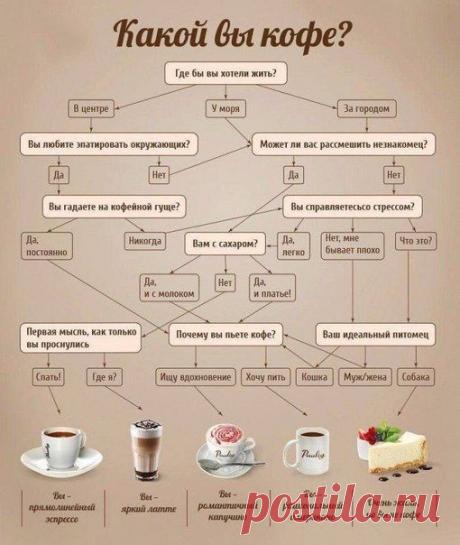 Шустрый Повар | Рецепты | Кулинария