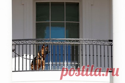 Стало известно о недоверии Байдена к своей охране. Президент США Джо Байден с недоверием относится к некоторым охраняющим его агентам, считая их сторонниками своего предшественника Дональда Трампа. «Байден говорил одному из своих друзей, что агенты секретной службы никогда не находятся в том месте, где произошел инцидент», — говорится в публикации.