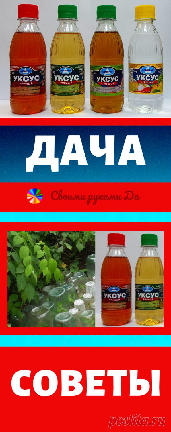 Моя дача, советы и не только! Проверено годами и своими руками
