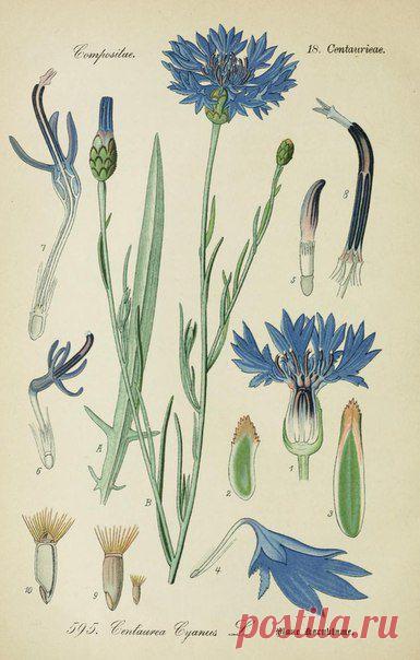 ~ MON PLAISIR ~ Вещи для души. Винтаж,Прованс.