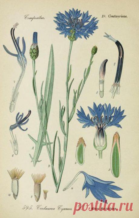 ~ MON PLAISIR ~ Вещи для души. Винтаж,Прованс.