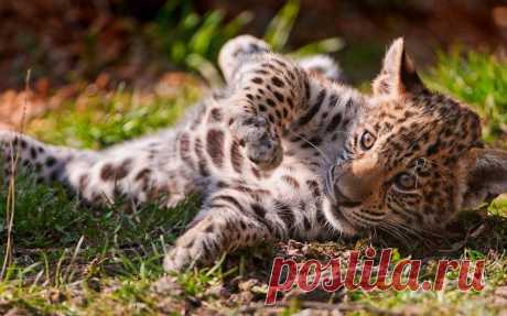 Мой Мир@Mail.Ru