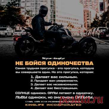 Больше Мотивации у нас в Телеграм канале ☝   | 

цитаты | цитаты со смыслом | цитаты со смыслом про жизнь | цитаты со смыслом | мотивационные цитаты | 
мотивационные цитаты спорт | мотивационные цитаты обои | мотивационные цитаты для учебы | мотивационные цитаты видео | 
мотивационные цитаты эстетика | мотивация | мотивация к учебе | мотивация на день