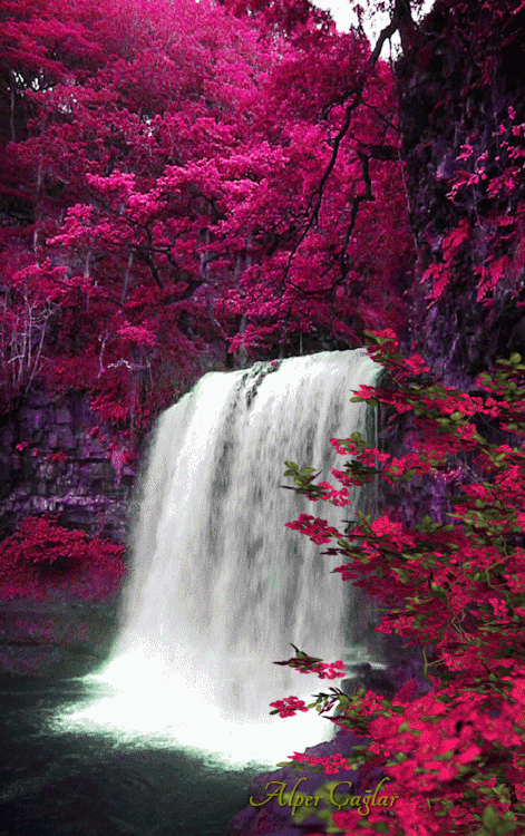 HAVE A NICE DAY