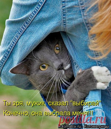 хх