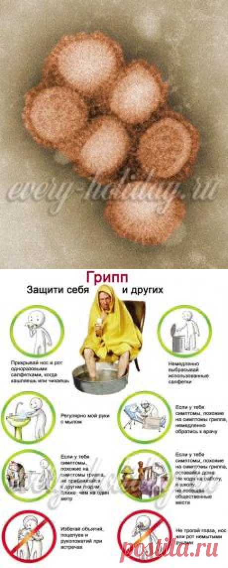 Симптомы свиного гриппа у человека 2016