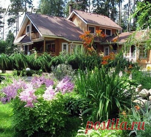 РАСТЕНИЯ - ДОЛГОЖИТЕЛИ ДЛЯ ВАШЕГО САДА