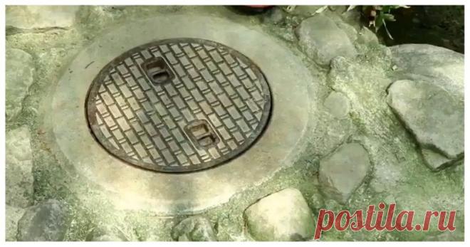 Люк, я твой жилец! Жирненький обитатель люка в японском зоопарке В японском зоопарке 