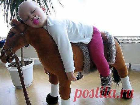 Блог сайта «Приколисты»