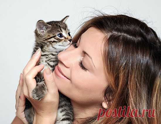 Чем можно заразиться от кошки: мифы и факты.