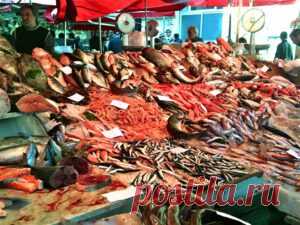 Как приготовить ЩИ с корюшкой (снетками) | Wine&Dance