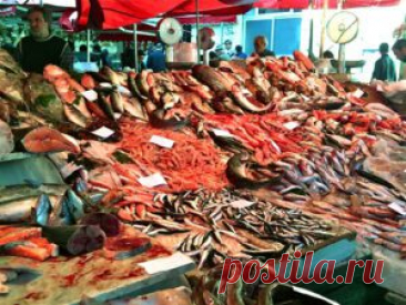 Как приготовить ЩИ с корюшкой (снетками) | Wine&Dance