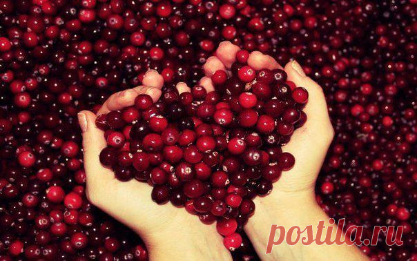7 ПРОДУКТОВ, КОТОРЫЕ ОЧИЩАЮТ ОРГАНИЗМ ЛУЧШЕ, ЧЕМ ЛЮБЫЕ ЛЕКАРСТВА | Это интересно!