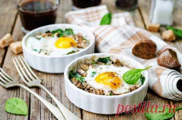 Вкусные рецепты