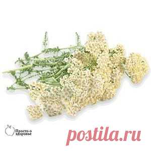 СРЕДСТВА ДЛЯ УКРЕПЛЕНИЯ СОСУДОВ