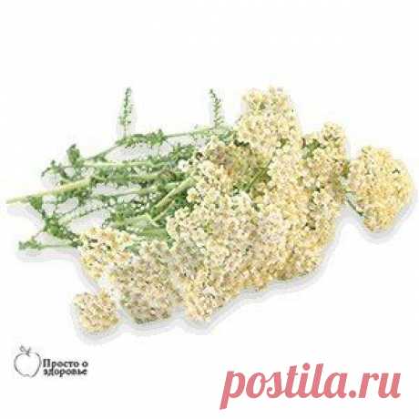 СРЕДСТВА ДЛЯ УКРЕПЛЕНИЯ СОСУДОВ