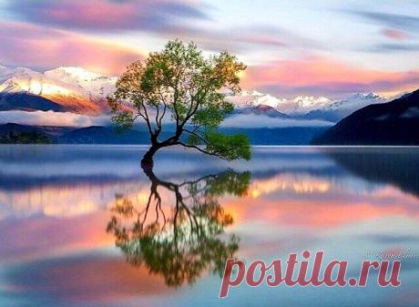 Вместе с -Янусом -
Дуэт о вере...( РИМА и ЯНУС)

ОНА________________________

Когда от нас любовь уходит,
Дождями плачут небеса...
Душа в молитве Бога просит,
Чтоб оберег сердца от зла...

Когда и вера, и надежда
Вдруг умирают...Вы одни...
Опять поддержки ищет сердце,
И просит: "Боже, помоги!"

И слышит Он молитву сердца,
И посылает веру вновь...
Вдруг, расцветают цветы лета
Среди зимы... А там - ЛЮБОВЬ...

© Рима Коровина Раманаускайте

ОН__________________________

Их тр...