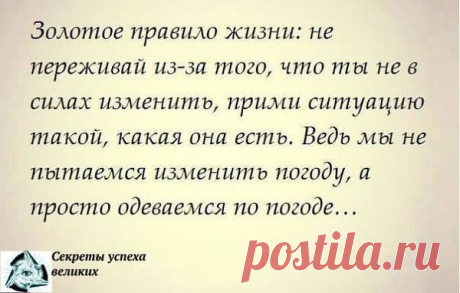 (3) Одноклассники