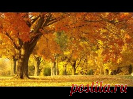 2 сентября 2018 года... Колендарь (Переворачиваеться)... И 3 Сентября﻿. У каждого свое 3 сентября....У каждой реки свой плеск, У каждой души свой дождь, Ты веришь не в то, что есть, А в то, чего вечно ждёшь.ШУФУТИНСКИЙ 3 СЕНТЯБРЯ (качество)