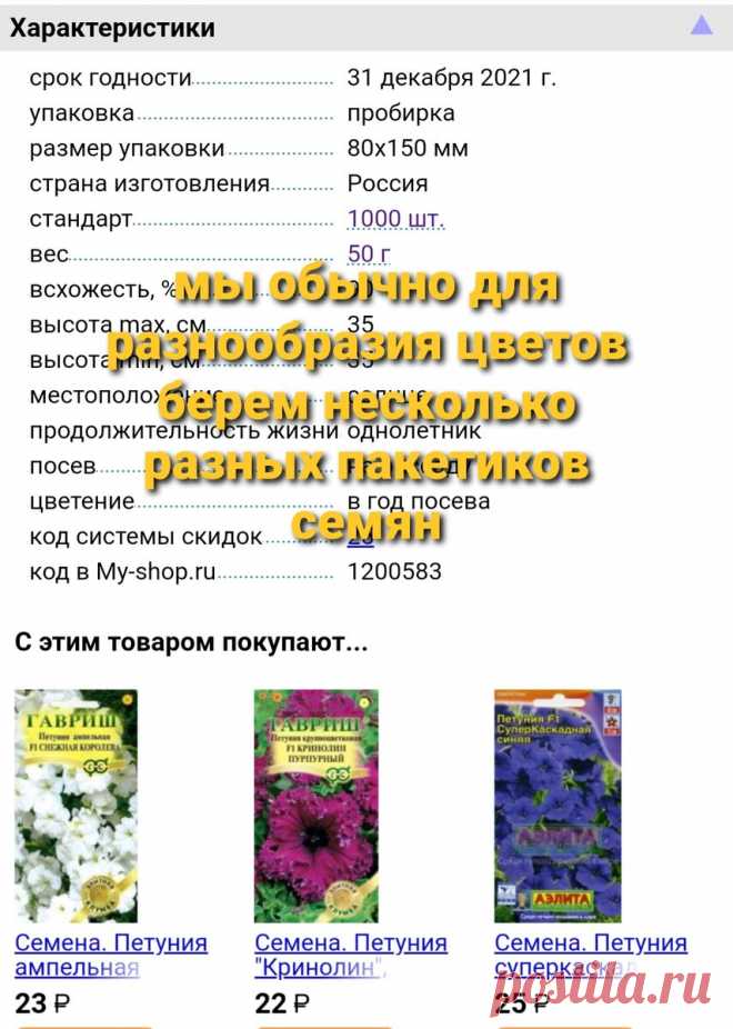 Не опоздайте с высевом семян петунии на рассаду. | АЗБУКА ЦВЕТОВ | Яндекс Дзен