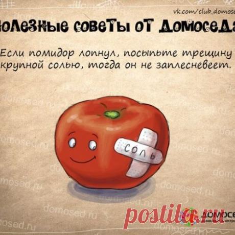 Советы от Домоседа - 3