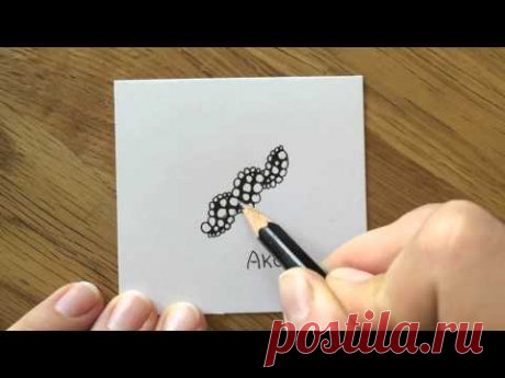 Zentangle: Akoya