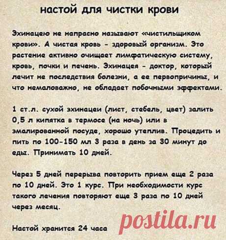 Настой для чистки крови