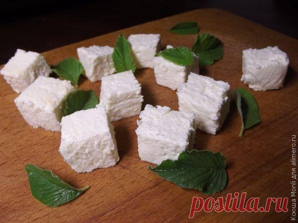Сыр "Фета" в домашних условиях | ДОМАШНИЙ ОЧАГ