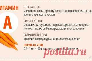 Что дают нам витамины? Где содержатся? При каких условиях разрушаются? Какова норма в сутки? Ответы здесь