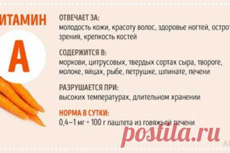 Что дают нам витамины? Где содержатся? При каких условиях разрушаются? Какова норма в сутки? Ответы здесь