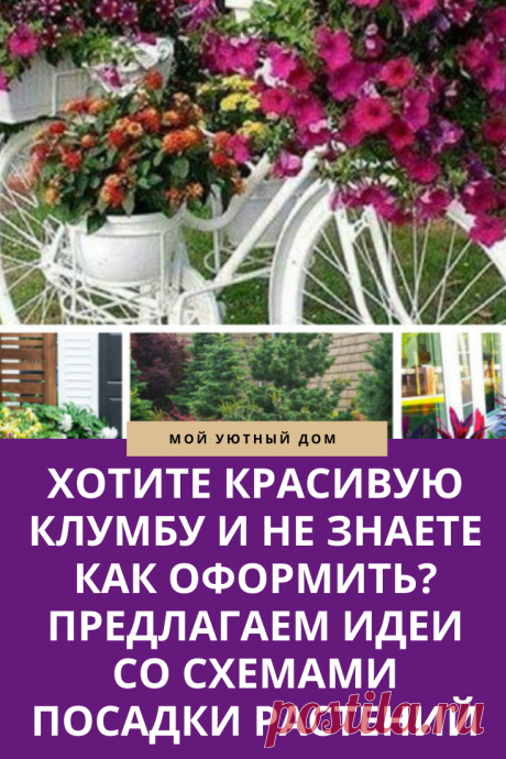 Советы как вырастить красивую клумбу
