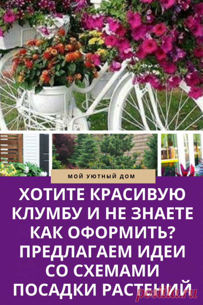 Советы как вырастить красивую клумбу
