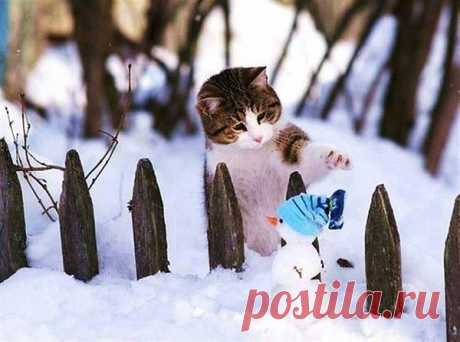 Группа БЕЛЫЙ ДЕНЬ и Лена ВАСИЛЕК — закружилс