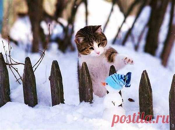 Группа БЕЛЫЙ ДЕНЬ и Лена ВАСИЛЕК — закружилс