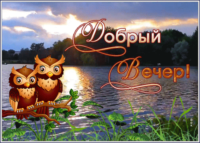 Открытка добрый вечер с речкой и совами