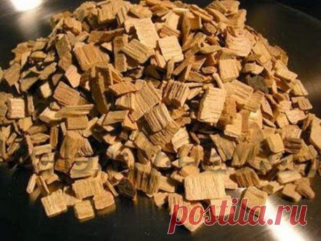 Осина мужчинам поможет | простата