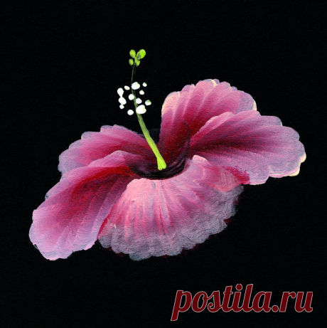 Рисунки плоской кистью от Юлии Белей