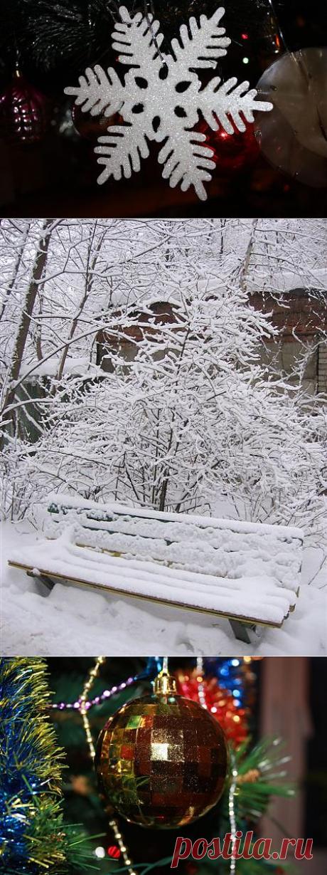 Жить интересно! - Воскресные стихи