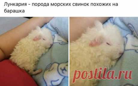 Дневник GRFinya