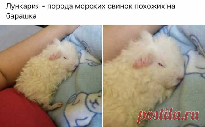 Дневник GRFinya