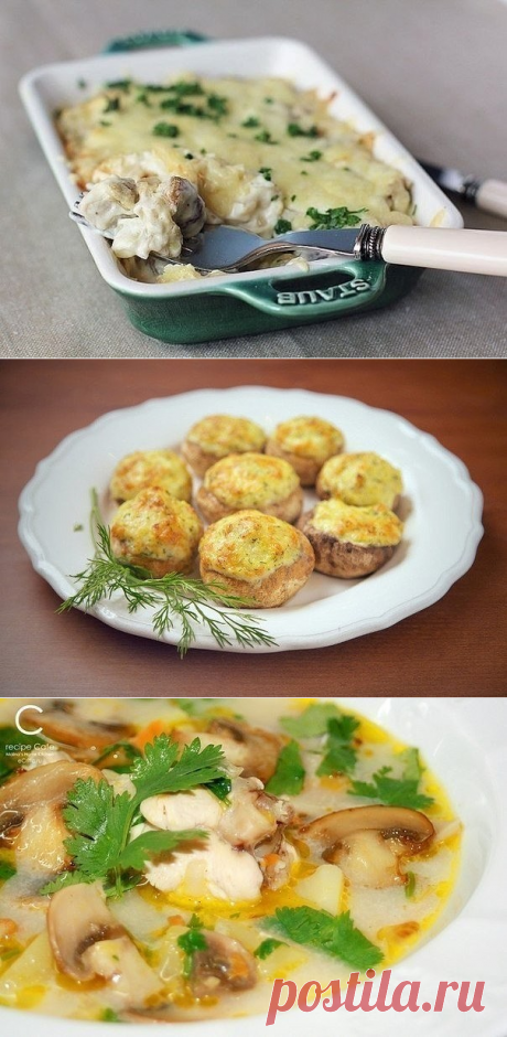 7 рецептов блюд с ШАМПИНЬОНАМИ